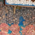 A Few of the Over 3,800 Types of Peruvian Potatoes